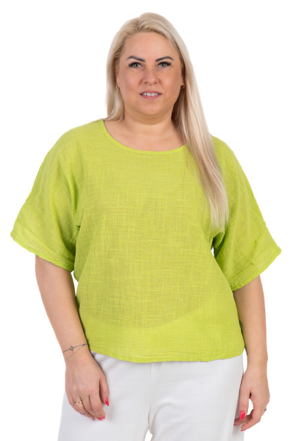 Palaidinė